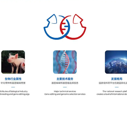 如何巧妙融合不同元素進行Logo設計？